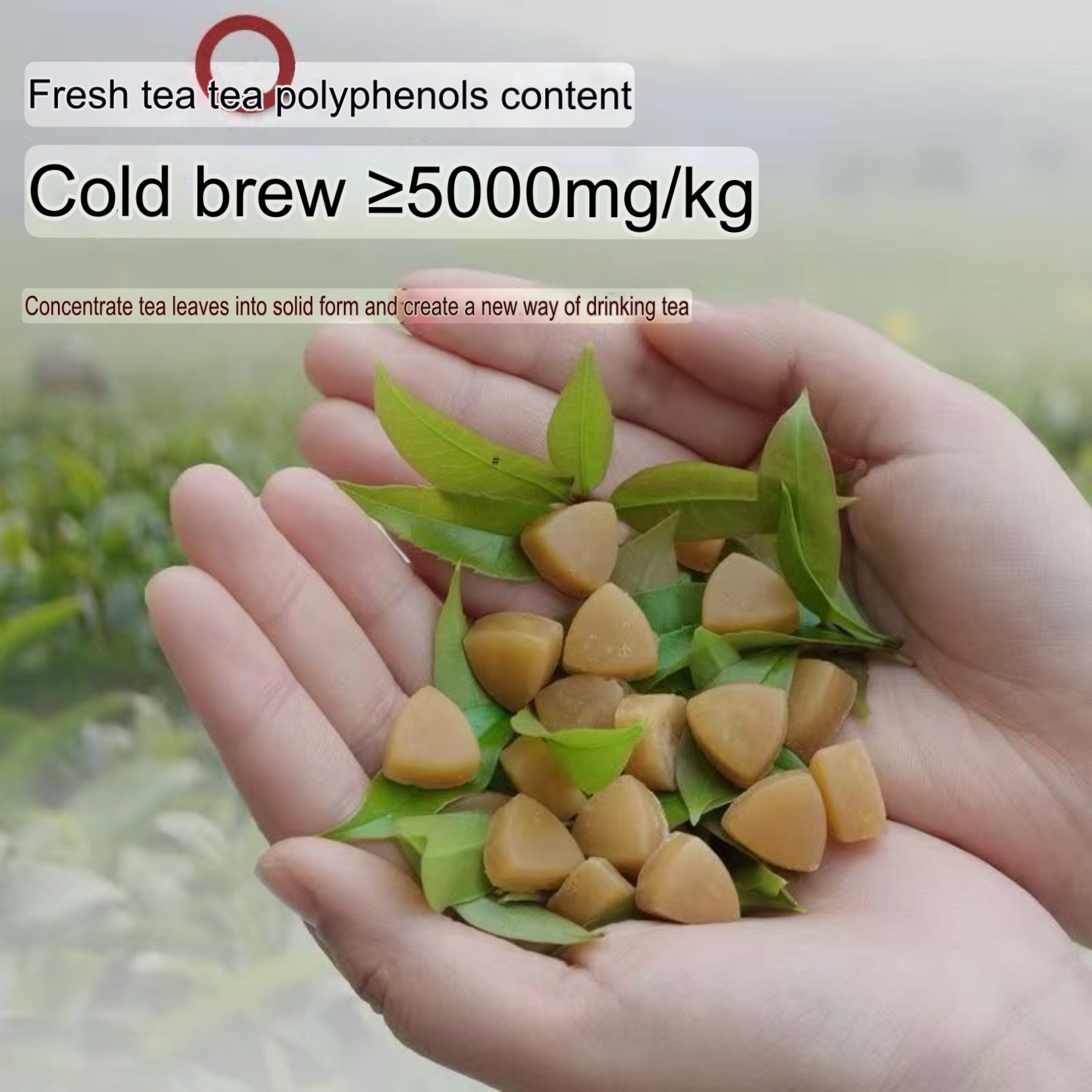 Tea candy without sucrose, Chewing gum, - Image 7