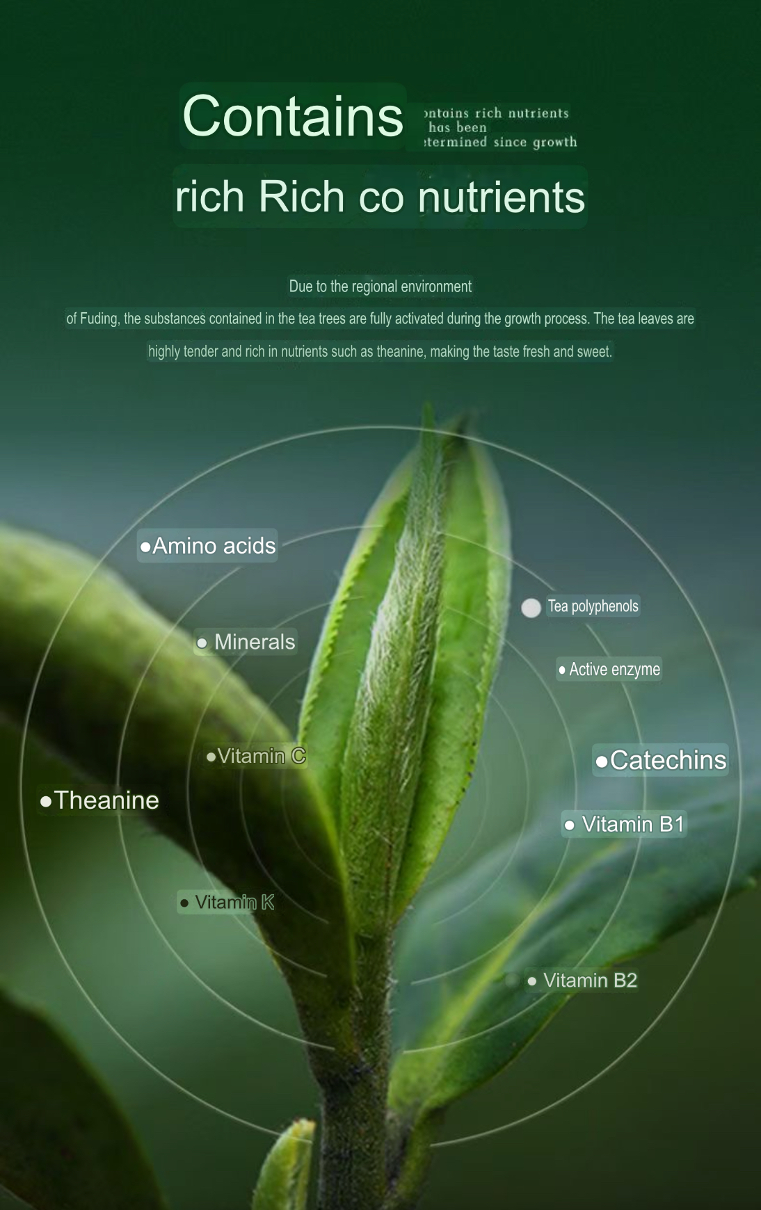 Tea candy without sucrose, Chewing gum, - Image 8