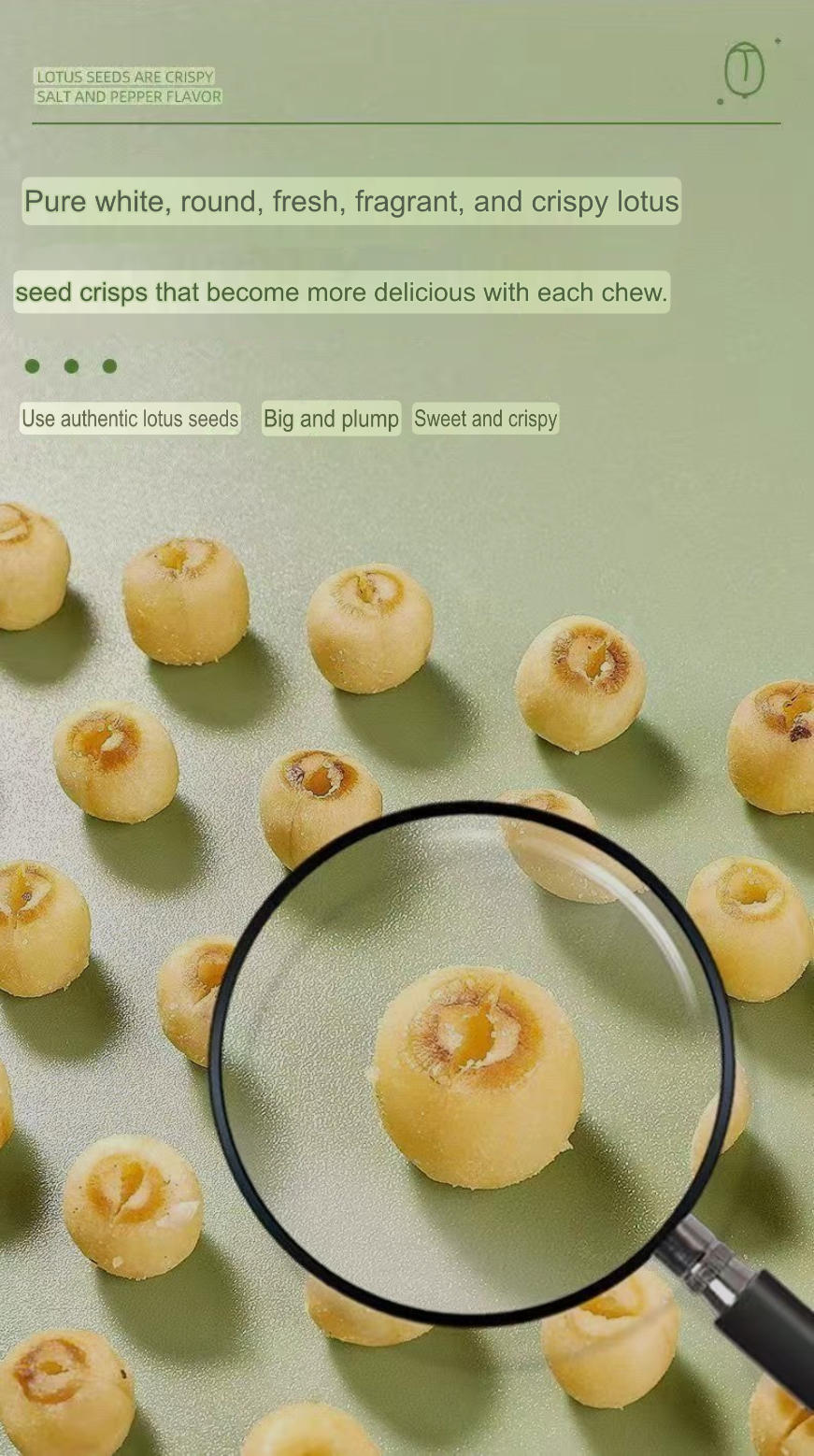 Natural Lotus Seed Crisps – Salt & Pepper Flavor - Image 6